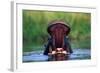 Hippopotamus Yawning-null-Framed Photographic Print