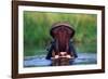 Hippopotamus Yawning-null-Framed Photographic Print