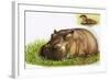 Hippopotamus-Leslie Field Marchant-Framed Giclee Print