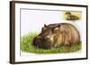 Hippopotamus-Leslie Field Marchant-Framed Giclee Print