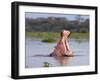 Hippos (Hippopotamus Amphibius), Lake Naivasha, Nakuru County, Kenya-Ivan Vdovin-Framed Photographic Print