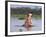 Hippos (Hippopotamus Amphibius), Lake Naivasha, Nakuru County, Kenya-Ivan Vdovin-Framed Photographic Print