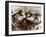 Hippos Kissing, 1965-null-Framed Premium Photographic Print