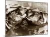 Hippos Kissing, 1965-null-Mounted Photographic Print