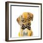 Hipster Retriever Puppy-Lanie Loreth-Framed Art Print