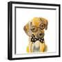 Hipster Retriever Puppy-Lanie Loreth-Framed Art Print