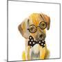 Hipster Retriever Puppy-Lanie Loreth-Mounted Art Print