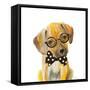 Hipster Retriever Puppy-Lanie Loreth-Framed Stretched Canvas