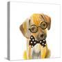 Hipster Retriever Puppy-Lanie Loreth-Stretched Canvas