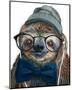 Hipster Sloth-Melissa Symons-Mounted Art Print