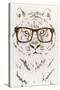 Hipster Tiger-Paula Belle Flores-Stretched Canvas