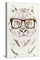 Hipster Tiger-Paula Belle Flores-Stretched Canvas