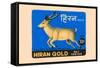 Hiran Gold Wax Vestas-null-Framed Stretched Canvas