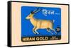 Hiran Gold Wax Vestas-null-Framed Stretched Canvas