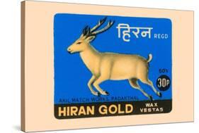 Hiran Gold Wax Vestas-null-Stretched Canvas