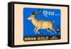 Hiran Gold Wax Vestas-null-Framed Stretched Canvas