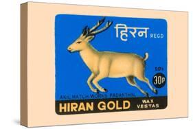 Hiran Gold Wax Vestas-null-Stretched Canvas