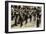 Hirohito-null-Framed Photographic Print