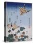 Hirondelle et pie sur fraisier et bégonia-Katsushika Hokusai-Stretched Canvas