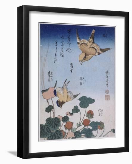 Hirondelle et pie sur fraisier et bégonia-Katsushika Hokusai-Framed Giclee Print