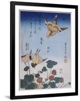 Hirondelle et pie sur fraisier et bégonia-Katsushika Hokusai-Framed Giclee Print