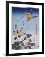 Hirondelle et pie sur fraisier et bégonia-Katsushika Hokusai-Framed Giclee Print