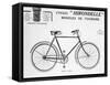 Hirondelle Saint Etienne Bicycle Tourism Advertisement, 20th Century-null-Framed Stretched Canvas