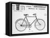Hirondelle Saint Etienne Bicycle Tourism Advertisement, 20th Century-null-Framed Stretched Canvas