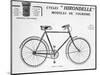 Hirondelle Saint Etienne Bicycle Tourism Advertisement, 20th Century-null-Mounted Giclee Print