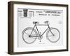 Hirondelle Saint Etienne Bicycle Tourism Advertisement, 20th Century-null-Framed Giclee Print