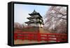 Hirosaki Castle and Cherry Blossoms-tamikosan-Framed Stretched Canvas