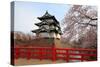 Hirosaki Castle and Cherry Blossoms-tamikosan-Stretched Canvas