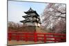 Hirosaki Castle and Cherry Blossoms-tamikosan-Mounted Photographic Print