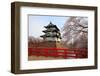 Hirosaki Castle and Cherry Blossoms-tamikosan-Framed Photographic Print