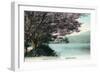 Hirosawa Pond, Kyoto-null-Framed Art Print