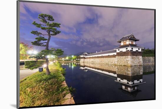 Hiroshima Castle Grounds, Hiroshima, Honshu, Japan, Asia-Christian Kober-Mounted Photographic Print