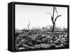 Hiroshima in Ruins Following the Atomic Bomb, Dropped at End of WWII-Bernard Hoffman-Framed Stretched Canvas