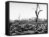 Hiroshima in Ruins Following the Atomic Bomb, Dropped at End of WWII-Bernard Hoffman-Framed Stretched Canvas