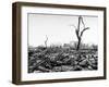 Hiroshima in Ruins Following the Atomic Bomb, Dropped at End of WWII-Bernard Hoffman-Framed Photographic Print