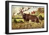 Hirsch, Springender Hirsch Am Wald, Tannenbäumchen-null-Framed Giclee Print