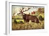 Hirsch, Springender Hirsch Am Wald, Tannenbäumchen-null-Framed Giclee Print