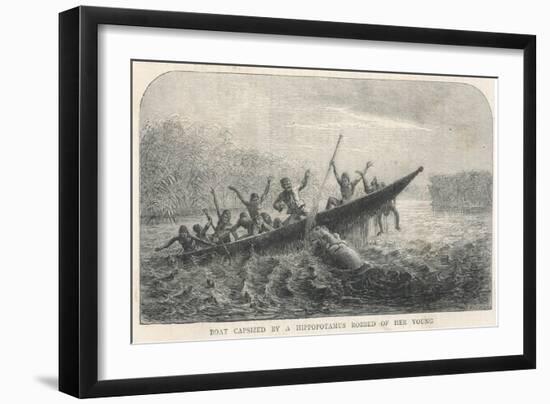 His Boat is Rammed by a Hippopotamus Displeased Because Its Young Have Been Shot by the Expedition-null-Framed Art Print