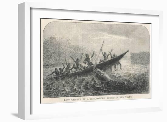 His Boat is Rammed by a Hippopotamus Displeased Because Its Young Have Been Shot by the Expedition-null-Framed Art Print