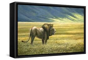 His Domain Lion-Jeremy Paul-Framed Stretched Canvas