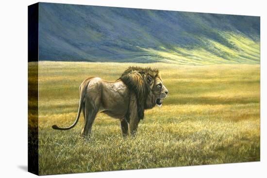 His Domain Lion-Jeremy Paul-Stretched Canvas