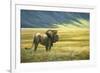 His Domain Lion-Jeremy Paul-Framed Giclee Print