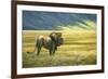 His Domain Lion-Jeremy Paul-Framed Giclee Print