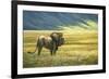 His Domain Lion-Jeremy Paul-Framed Giclee Print