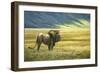 His Domain Lion-Jeremy Paul-Framed Giclee Print