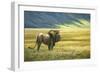 His Domain Lion-Jeremy Paul-Framed Giclee Print